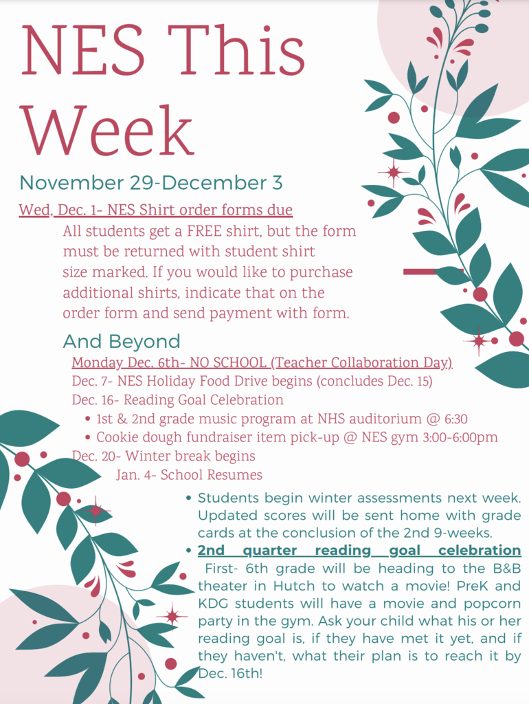 NES this week Nov 29- Dec 3