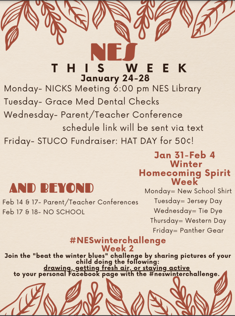 NES this week Jan 24-28